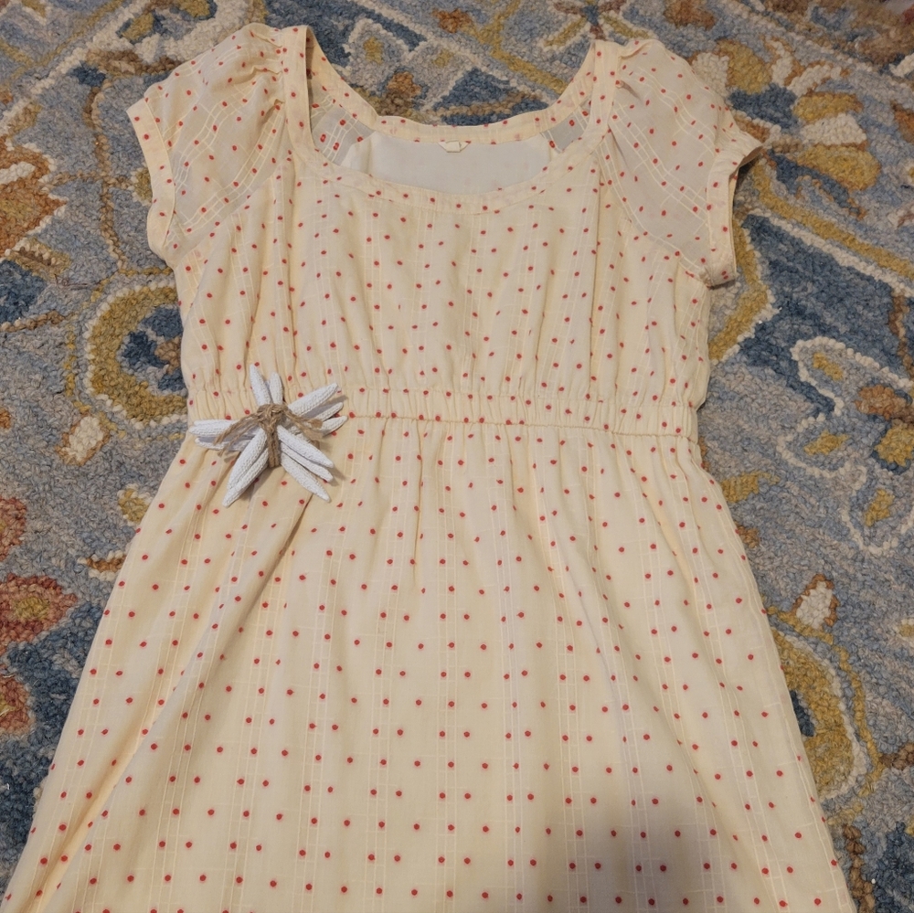 JCrew Cream Dress with Raised Pink Polka Dots.  Fully Lined.